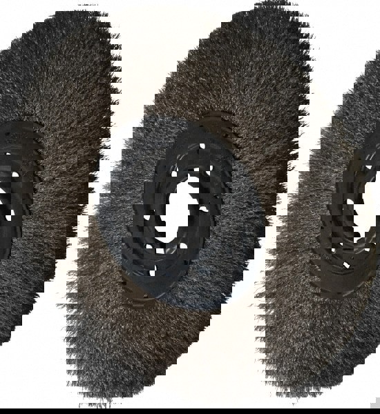 Stainless Steel Wire Brushes