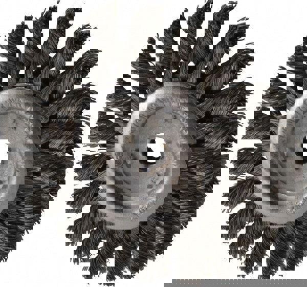 Carbon Steel Wheel Brushes