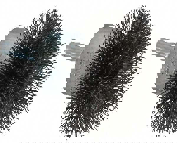 Carbon Steel Wheel Brushes