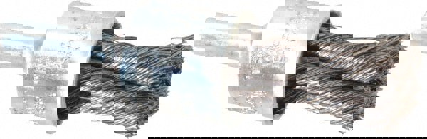 Carbon Steel Wheel Brushes