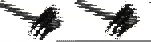 Power Tube Brush: Helical, Steel