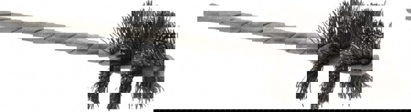 Power Tube Brush: Helical, Steel