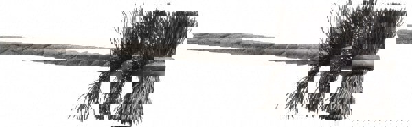 Power Tube Brush: Helical, Steel