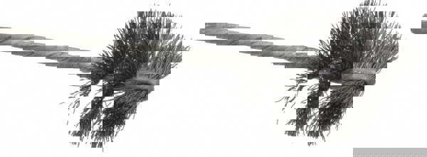 Power Tube Brush: Helical, Steel