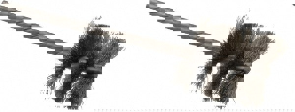 Power Tube Brush: Helical, Stainless Steel