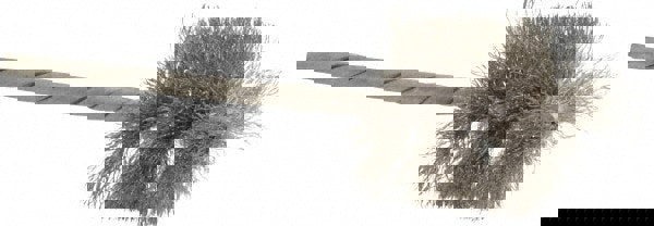 Stainless Steel Wire Brushes