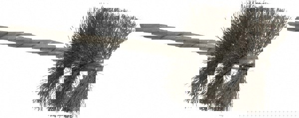 Power Tube Brush: Helical, Stainless Steel