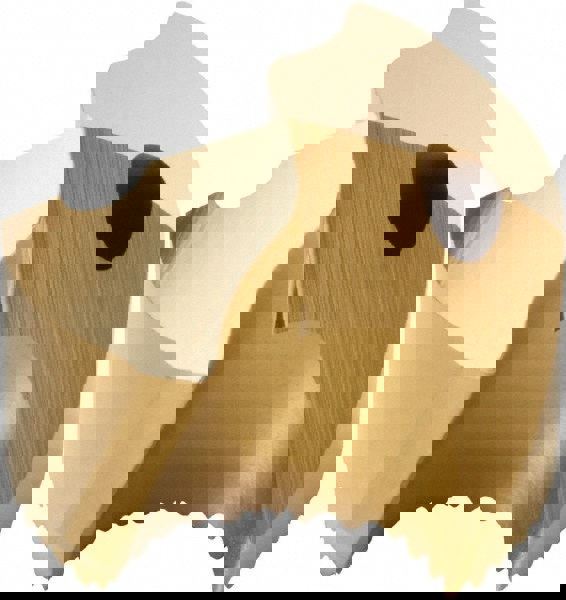 SD10019.25-P Carbide Replaceable Tip Drill