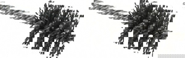 Carbon Steel Wheel Brushes