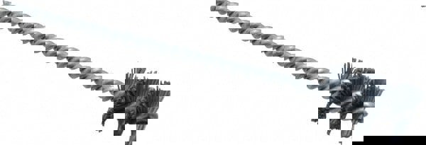 Power Tube Brush: 0.64