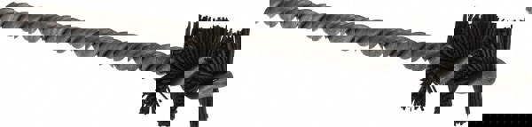 Power Tube Brush: 0.765