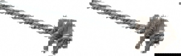 Power Tube Brush: 0.89