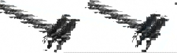 Carbon Steel Wheel Brushes