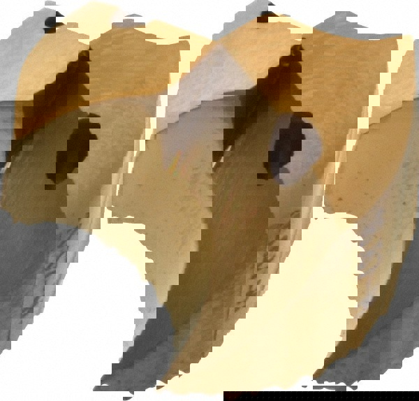 SD100-16.67-M Carbide Replaceable Tip Dr