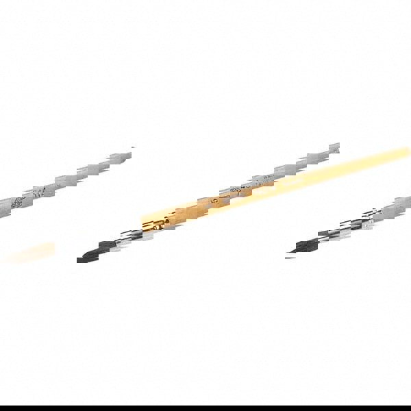 Artist Brush: #2 Industry Size, Camel Hair