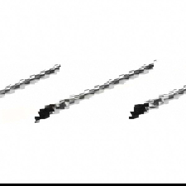 Paint Brush: #6 Hog, Natural Bristle