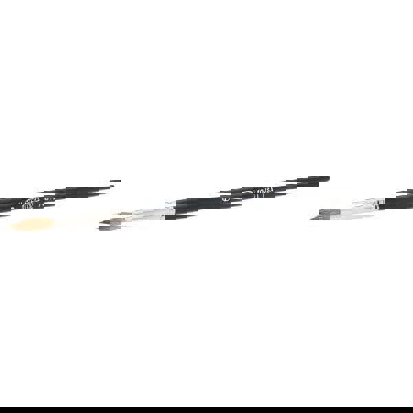 Artist Brush: #6 Industry Size, Sable