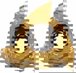 Laydown Threading Insert: 16ERAG55-A2 CP500, Solid Carbide