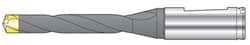 SD100-12.00-P Carbide Replaceable Tip Dr