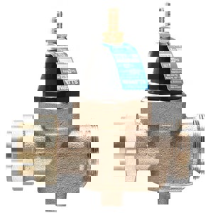 LF 1 NPT UNION X NPT FEM WTR PRV