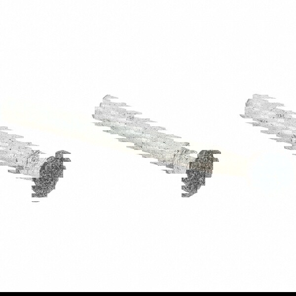 Mounted Point: B123, Medium