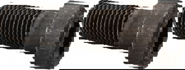 Hex Socket Cap Screw: 1-1/2-6, 5-1/2