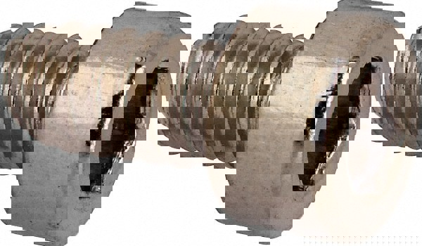 Hex Socket Cap Screw: #10-24 UNC, 5/32