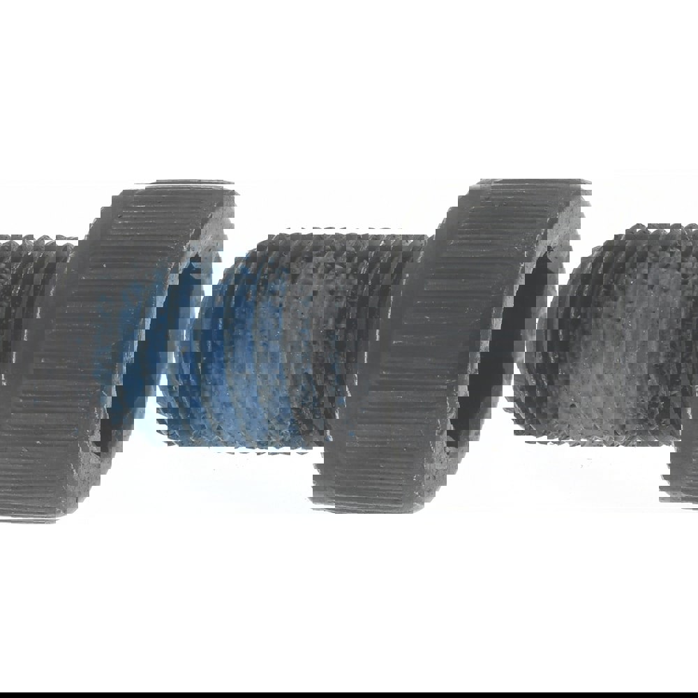 Hex Socket Cap Screw: 5/16-24, 5/8