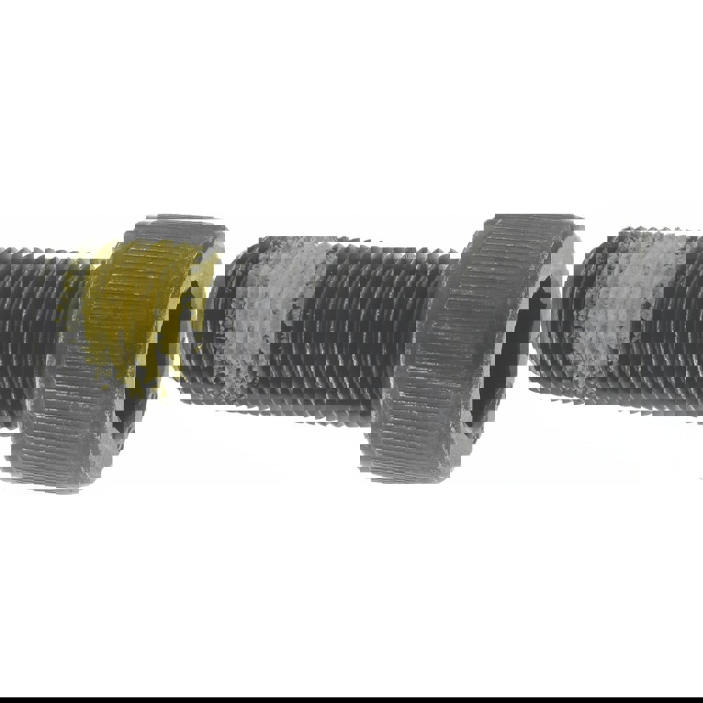 Hex Socket Cap Screw: 1/2-13, 1-1/2