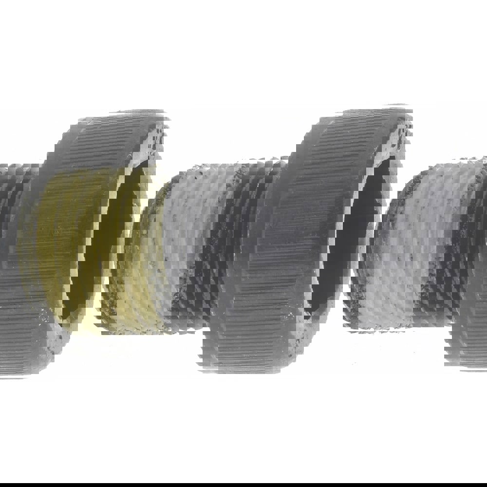 Hex Socket Cap Screw: 3/4-10, 1-1/4