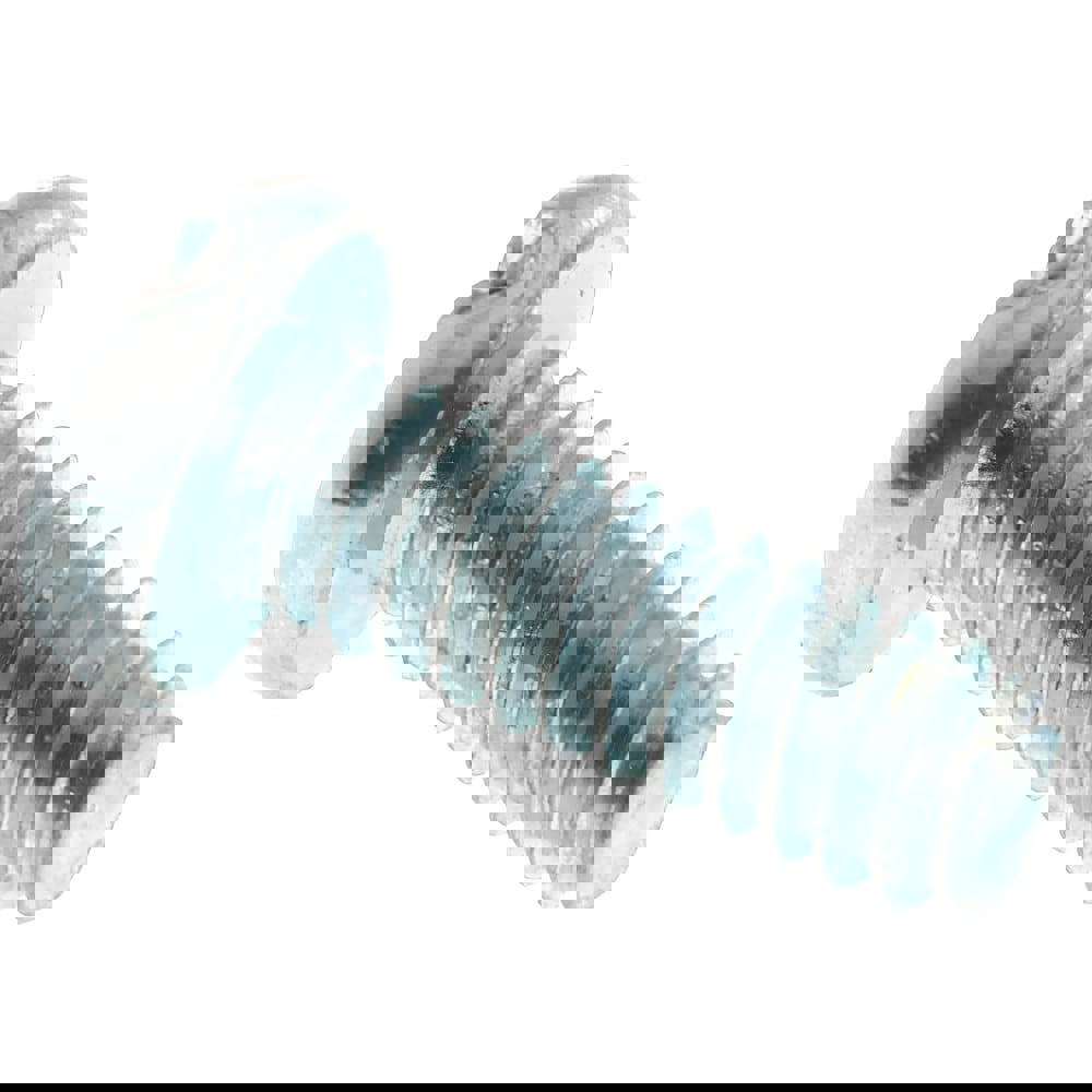 Machine Screw: #2-56 x 1/4