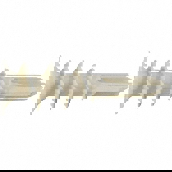 Drywall & Hollow Wall Anchors; Number Of Pieces: 50 ; Overall Length (Inch): 1-5/16 ; Anchor Material: Nylon ; Minimum Thickness (Inch): 3/8 ; Maximum Thickness (Inch): 5/8 ; Maximum Load Capacity: 65.0lb