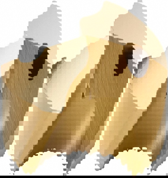 SD100-10.50-P Carbide Replaceable Tip Drill