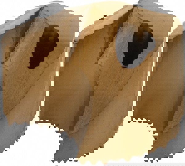 SD10020.638P Carbide Replaceable Tip Dri