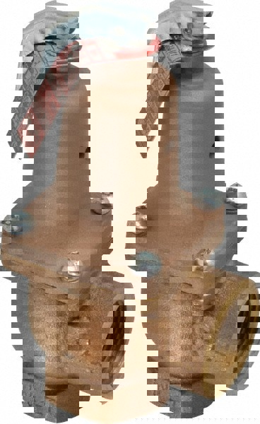 ASME Safety Relief Valve: 30 Max psi