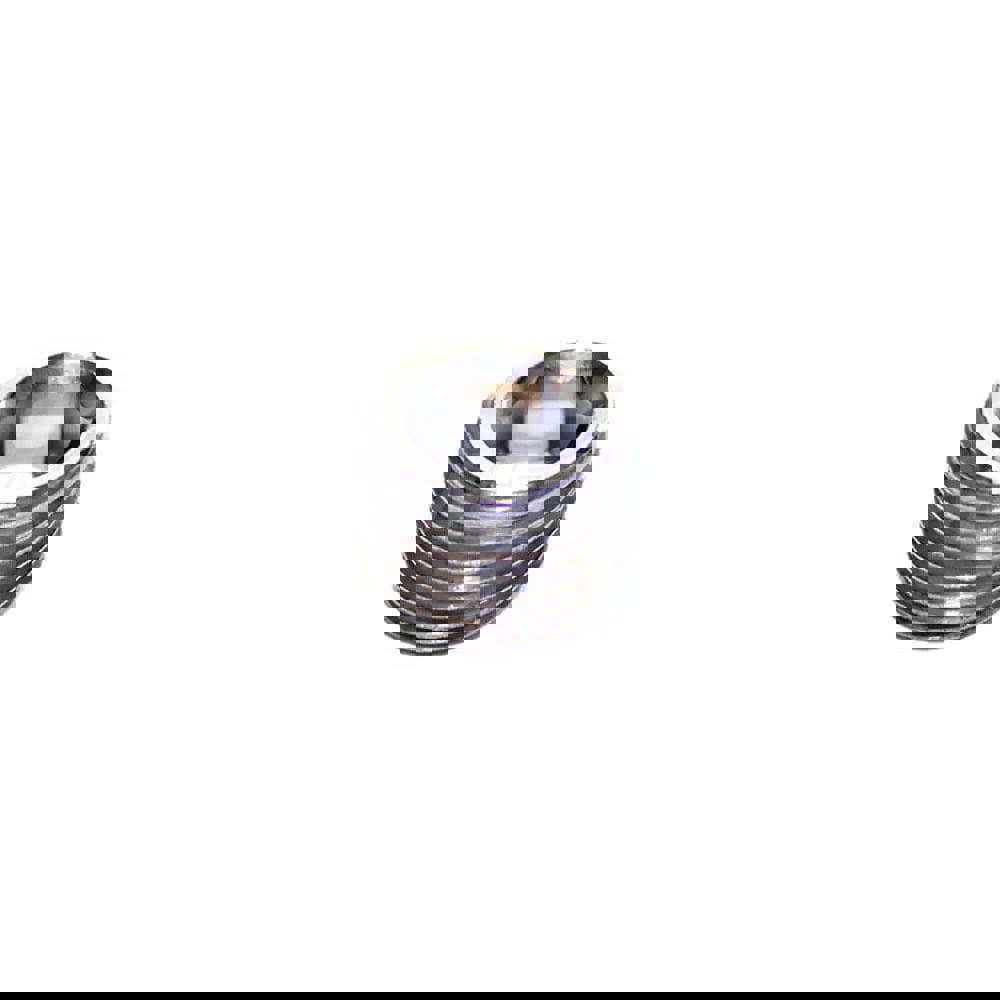 Industrial Pipe Fitting: 1/8