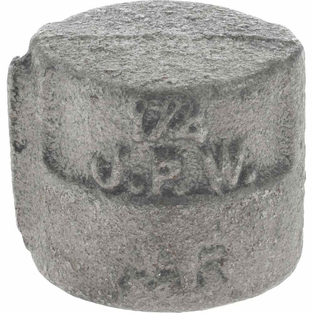 Black Cap: 1/4