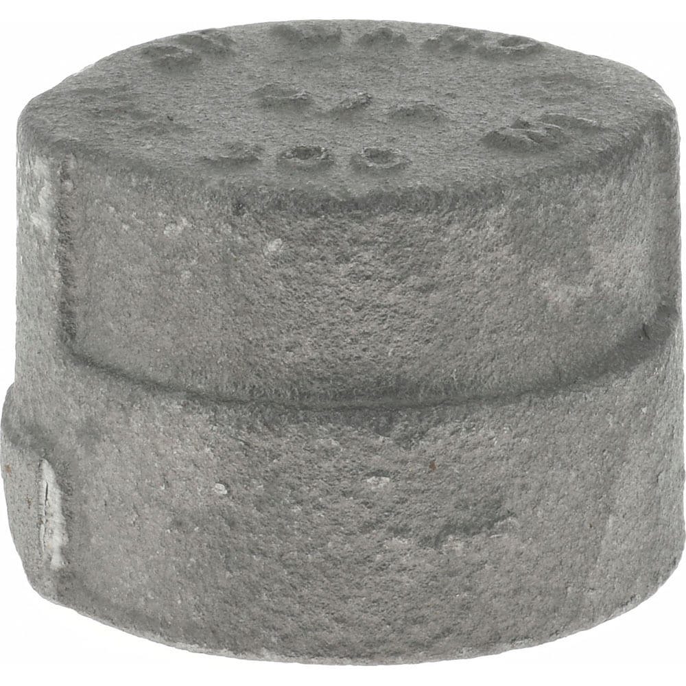 Black Cap: 3/4