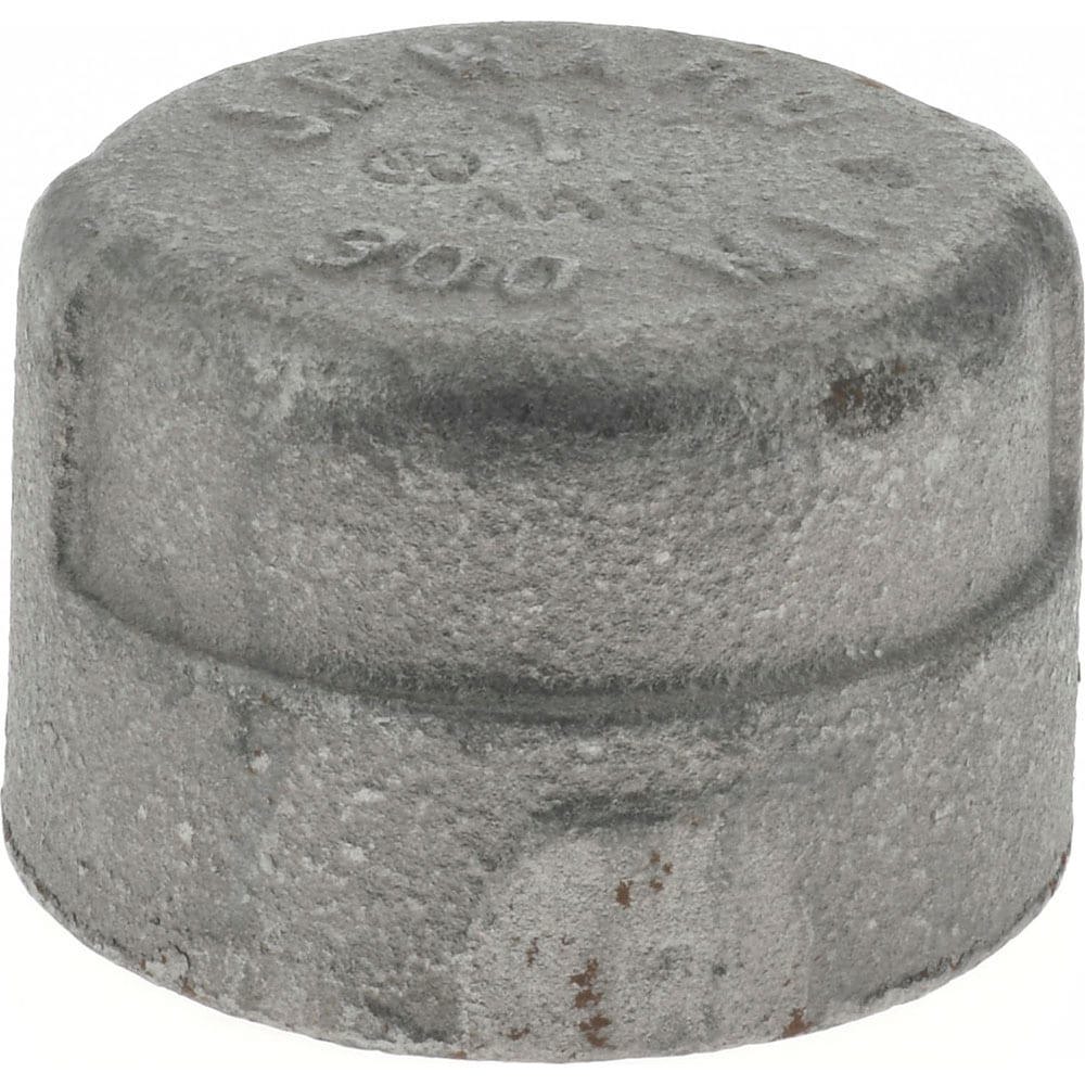 Black Cap: 1
