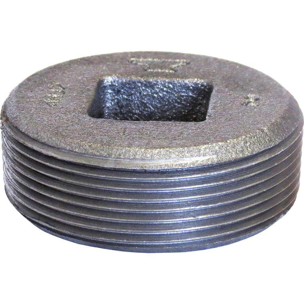 Black Plug: 1/2