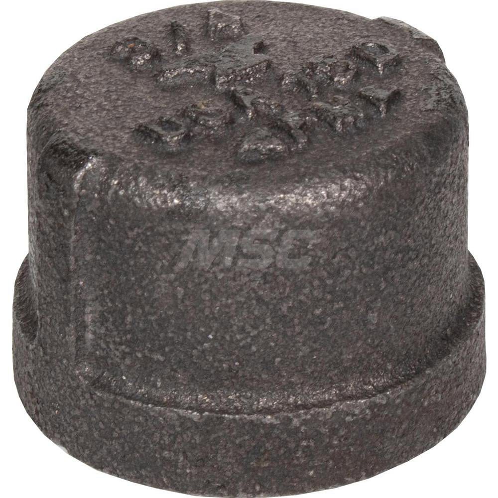 Black Cap: 4