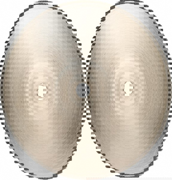 Wet & Dry Cut Saw Blade: 12