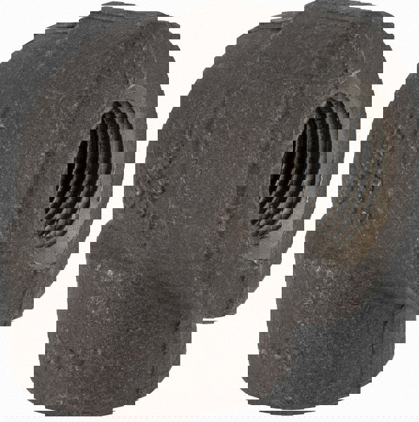 Black 90 &deg; Elbow: 1/2