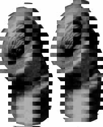 Black 45 &deg; Elbow: 1/8