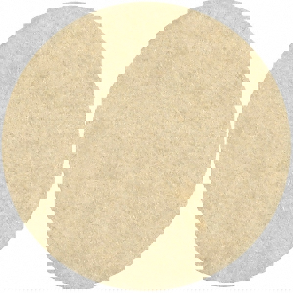 Unmounted Quick-Change Felt Disc Buffing Wheel: 2