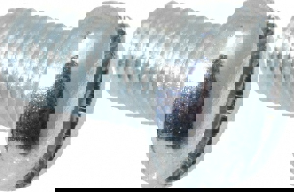 Machine Screw: #5-40 x 1/4