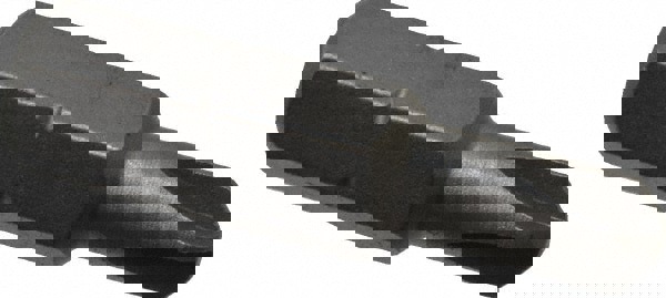 Torq-Set Mplus Screwdriver Insert Bit: #6 Point