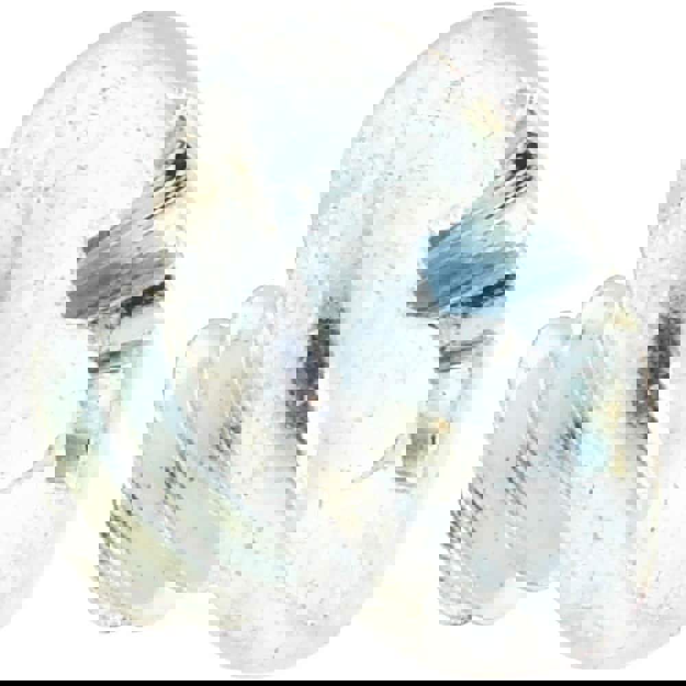 Machine Screw: #6-32 x 1/8