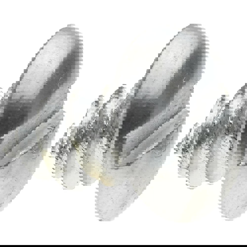 Sheet Metal Screw: #6, Pan Head, Slotted
