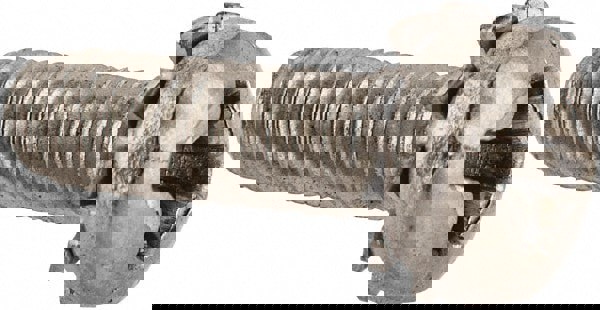 Machine Screw: #6-32 x 1/2